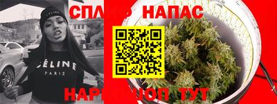 прущие грибы Конаково