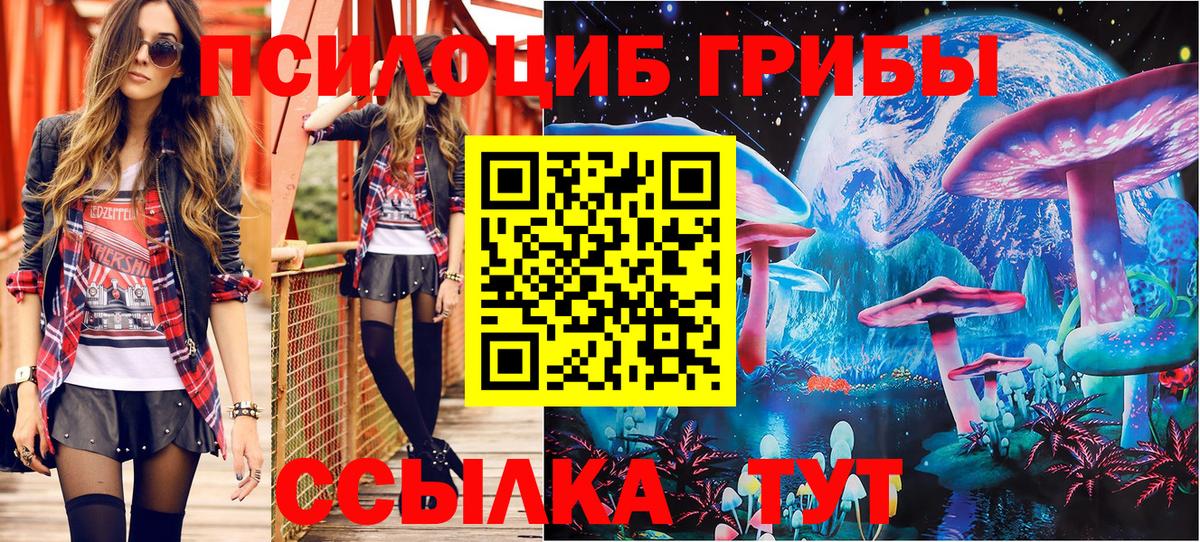 Кызыл  купить   Псилоцибиновые грибы Psilocybe  Вход с VPN  Галлюциногенные грибы Magic Shrooms 